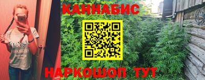прущая мука Кингисепп