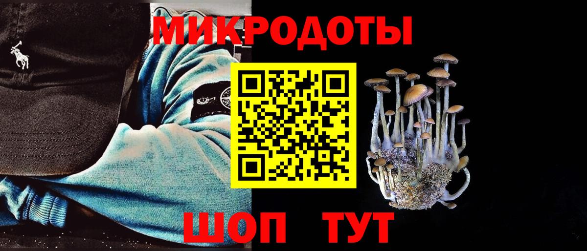 Псилоцибиновые грибы GOLDEN TEACHER Тосно